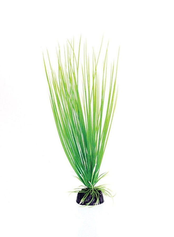 Underwater Treasures Green Hairgrass - 8"